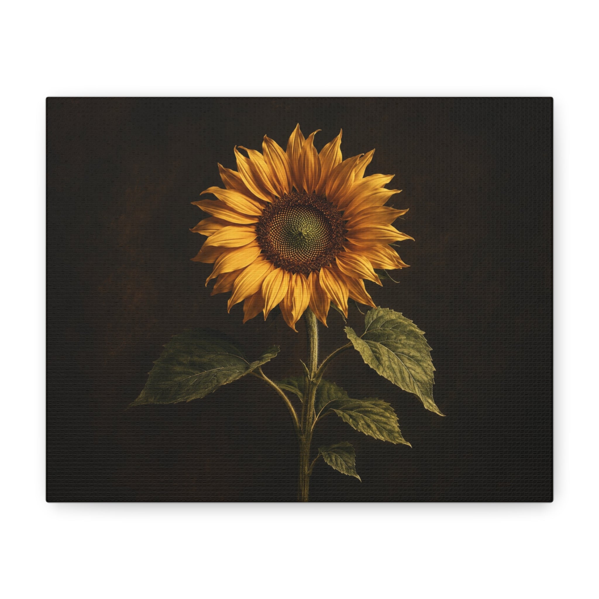 Sunflower Canvas Wall Art — Matte Stretched Print | Rustic Botanical Home Decor | Farmhouse Kitchen & Living Room Art