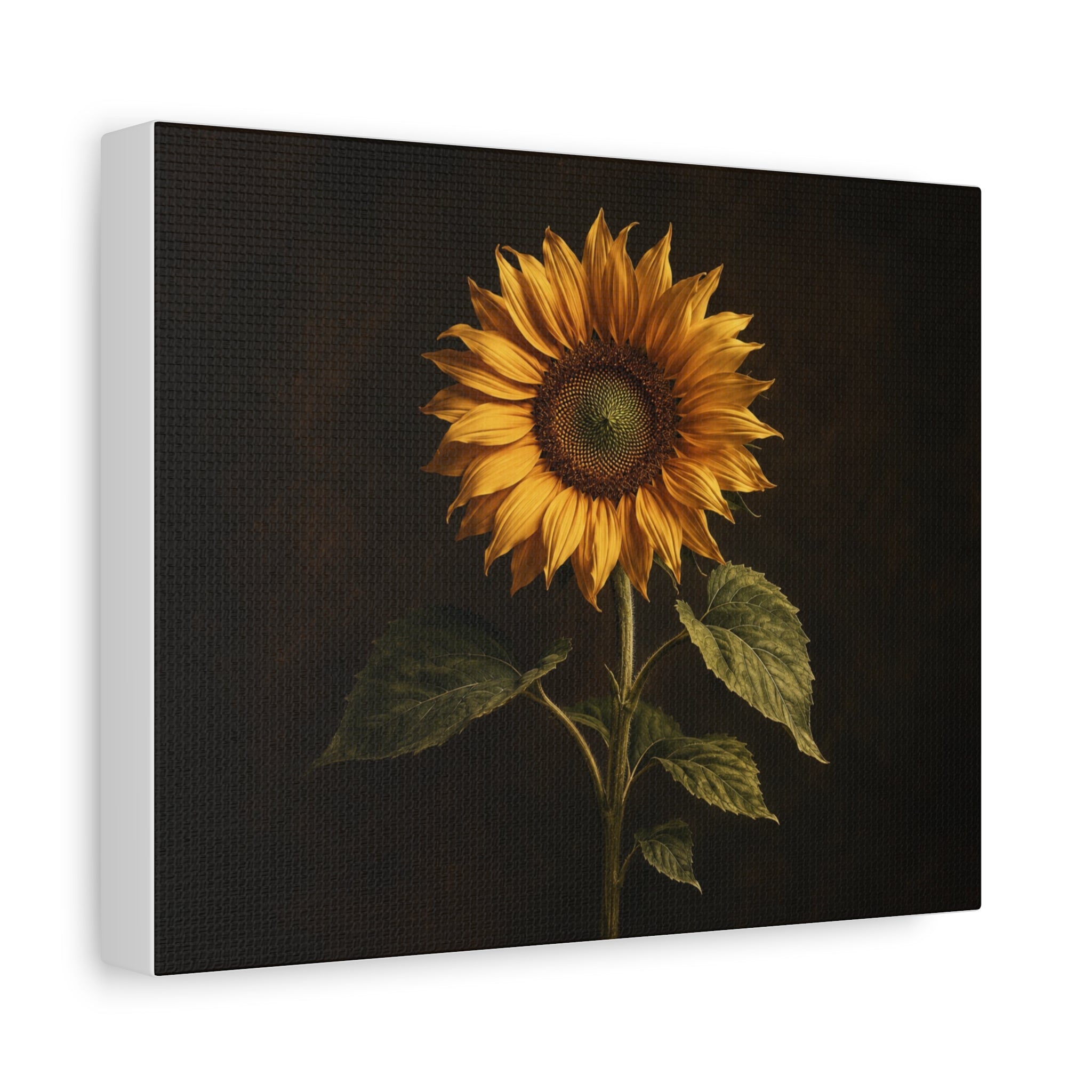 Sunflower Canvas Wall Art — Matte Stretched Print | Rustic Botanical Home Decor | Farmhouse Kitchen & Living Room Art
